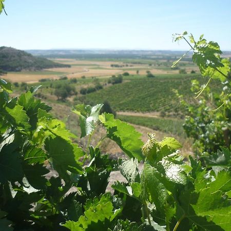 La Cantamora Hotel Rural Pesquera De Duero Dış mekan fotoğraf