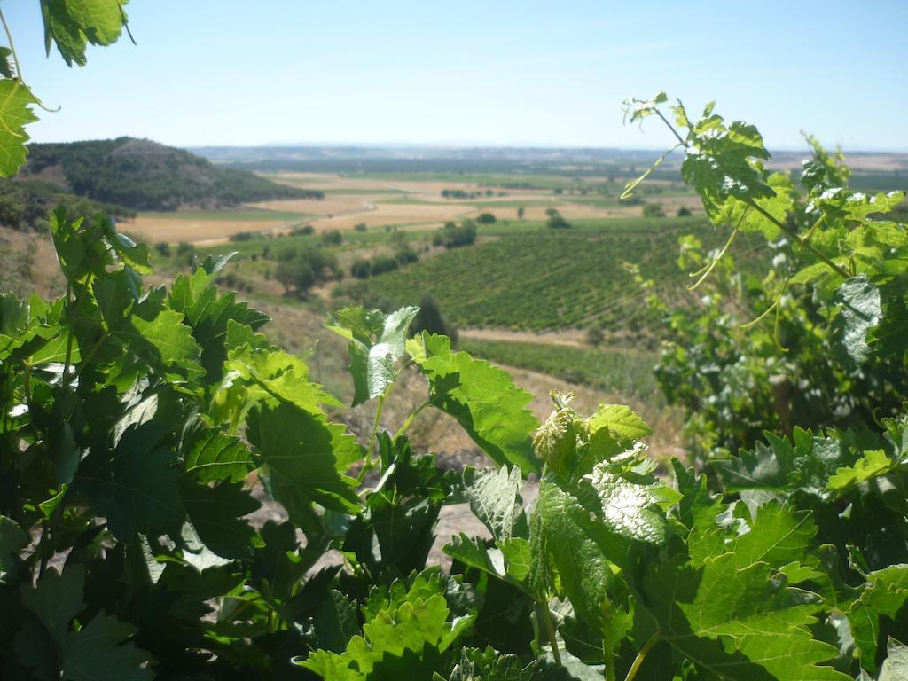 La Cantamora Hotel Rural Pesquera De Duero Dış mekan fotoğraf